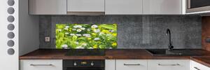 Skleněný panel do kuchynské linky Sedmikrásky pksh-172755393