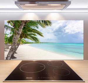 Panel do kuchyně Tropická pláž pksh-176119996