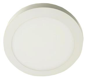 LED Stropní svítidlo GERRIT LED/12W/230V 4000K bílá