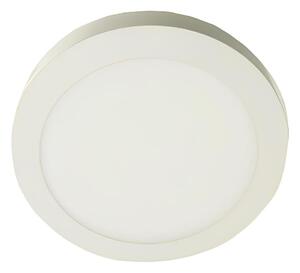 LED Stropní svítidlo GERRIT LED/12W/230V 3000K bílá