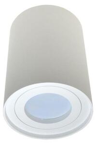 Bodové svítidlo CRIKO 1xGU10/30W/230V bílá