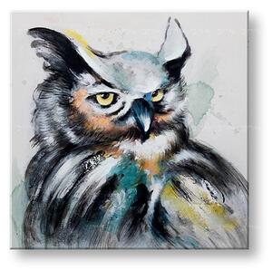 Malovaný obraz na stěnu Sova 1 díl 60x60 cm - 60×60 cm / Klasický 2 cm