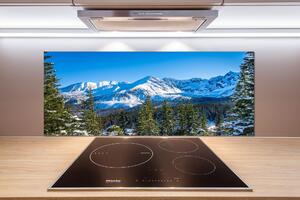 Panel do kuchyně Panorama Tater pksh-181484516