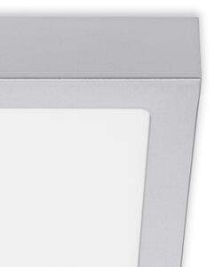 Briloner 7123-414 - LED Stropní svítidlo FIRE LED/12W/230V stříbrná