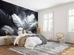 Fototapety Svítící peří, Fototapety peří, u73689 : uwalls.cz