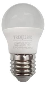 LED Žárovka G45 E27/4W/230V 4200K