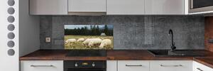 Panel do kuchyně Pasící se ovce pksh-197671747