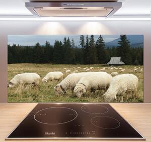 Panel do kuchyně Pasící se ovce pksh-197671747