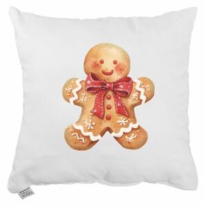 Vánoční polštář Ginger 40x40 cm EMI
