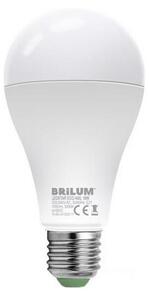 LED Žárovka LEDSTAR ECO A65 E27/18W/230V 3000K