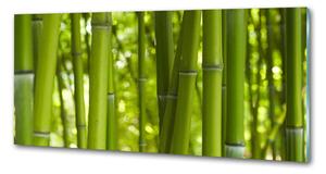 Skleněný panel do kuchyně Bambus pksh-24255297