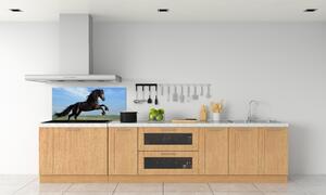 Panel do kuchyně Černý kůň na louce pksh-26473191