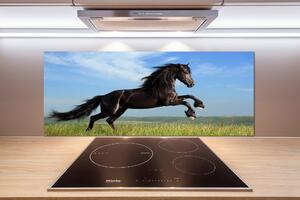 Panel do kuchyně Černý kůň na louce pksh-26473191