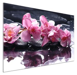 Panel do kuchyně Růžová orchidej pksh-28903356