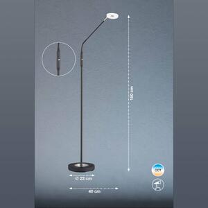 LED stojací lampa Dent stmívací CCT, 1 zdroj černá