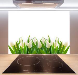 Panel do kuchyně Bílé tulipány pksh-30153186