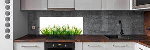 Panel do kuchyně Bílé tulipány pksh-30153186