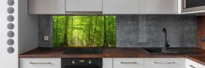 Panel do kuchyně Listnatý strom pksh-31250020