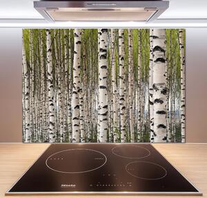 Dekorační panel sklo Břízový les pksh-31867188