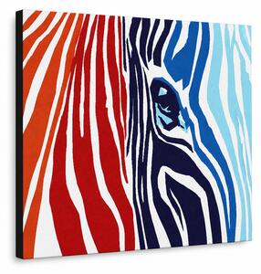 Ručně malovaný obraz POP Art BARVY 1 kus zebra - 80x60 cm