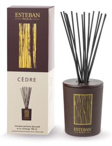 Esteban Tyčinkový difuzér Cédre 100ml