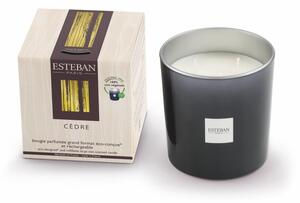 Esteban Vonná svíčka Cédre 180g