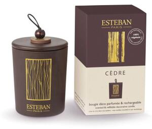 Esteban Dekorativní vonná svíčka Cédre 180g