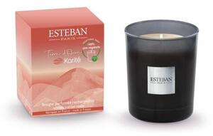 Esteban Vonná svíčka Karité 180g
