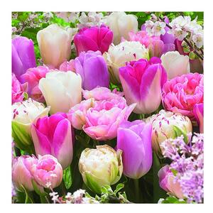 Ubrousky Růžové tulipány 3400061