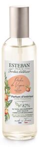 Esteban Bytový sprej Peche de vigne 75ml