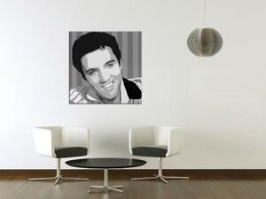 Ručně malovaný obraz POP Art Elvis Presley 1 kus el3 - 50x50 cm