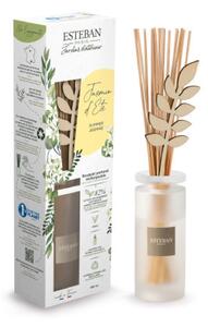 Esteban Tyčinkový difuzér Summer Jasmine 100ml
