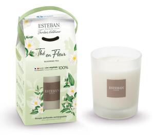 Esteban Vonná svíčka Thé en Fleur 180g