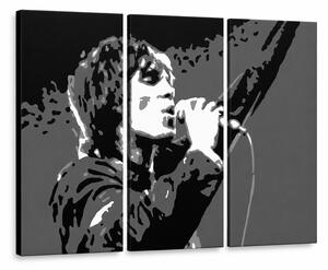 Ručně malovaný obraz POP Art Ian Brown, 3 díly ib2 - 60x40 cm