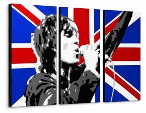Ručně malovaný obraz POP Art Ian Brown, 3 díly ib4 - 60x40 cm