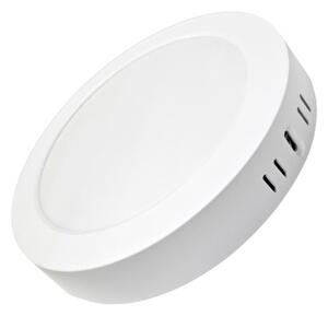 LED Stropní svítidlo ROUND LED/18W/230V 4000K pr. 21,5 cm bílá