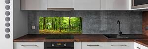 Panel do kuchyně Lesní stezka pksh-35316050