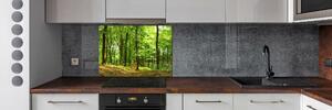 Panel do kuchyně Lesní stezka pksh-35316050