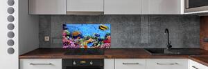 Panel do kuchyně Korálový útes pksh-35544351