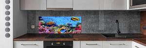 Panel do kuchyně Korálový útes pksh-35544351