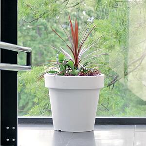 Prosperplast Květináč LEXO ROUND bílý 80 cm