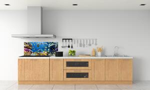 Panel do kuchyně Korálový útes pksh-36026012