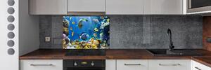 Panel do kuchyně Korálový útes pksh-36026012