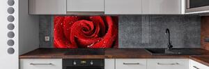 Panel do kuchyně Kapky na růži pksh-37464697