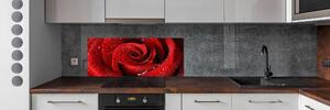 Panel do kuchyně Kapky na růži pksh-37464697
