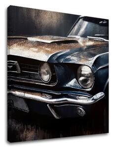 Designový obraz na plátně Galloping American Dream - 50x50 cm