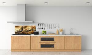 Panel do kuchyně Semeno pampelišky pksh-3821285