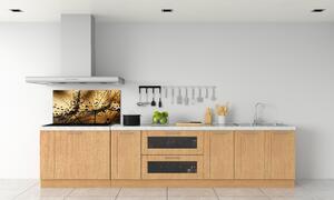 Panel do kuchyně Semeno pampelišky pksh-3821285