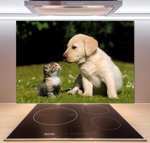 Panel do kuchyně Pes a kočka na louce pksh-38411802