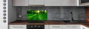 Panel do kuchyně Tráva v parku pksh-3863874